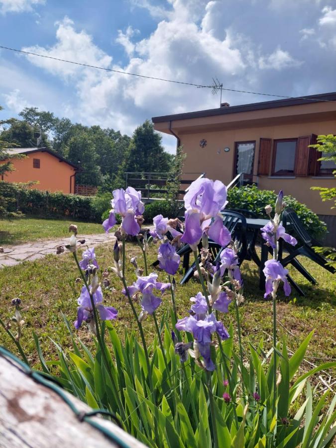 Chalet Grazia Valgiano Екстер'єр фото