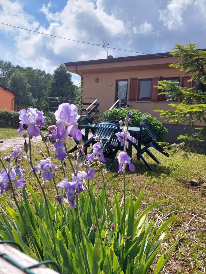 Chalet Grazia Valgiano Екстер'єр фото